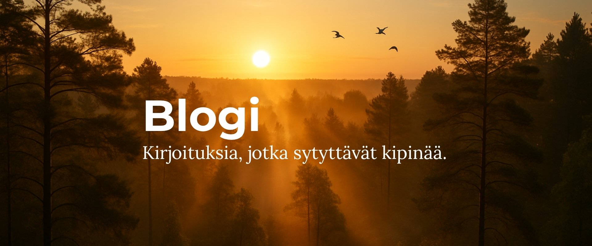 Blogi: Kirjoituksia, jotka kasvattavat kipinää.
